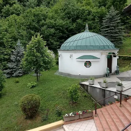 Srce 1 * Svrake