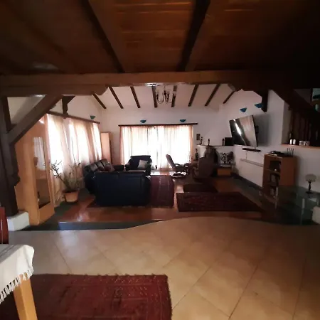 Srce 1